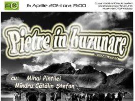 Pietre in buzunare @ Teatru FIX