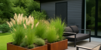 Peisagistică modernă