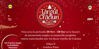 Targul de Craciun din Iasi 2025