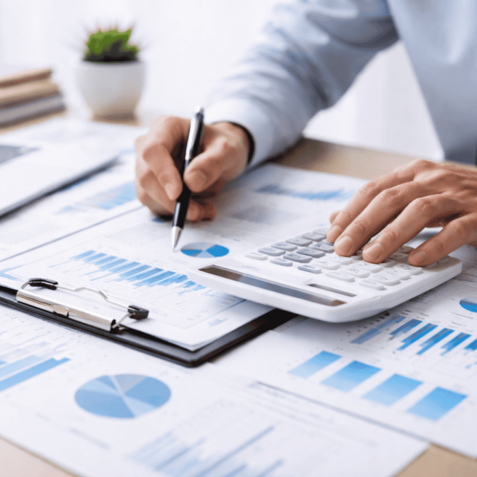 expertiza contabilă