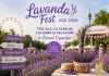 Lavanda Fest