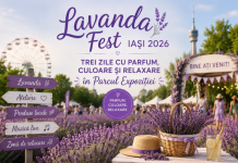 Lavanda Fest