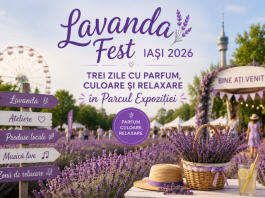 Lavanda Fest Iași 2026 – trei zile cu parfum, culoare și relaxare în Parcul Expoziției Lavanda Fest