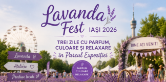 Lavanda Fest