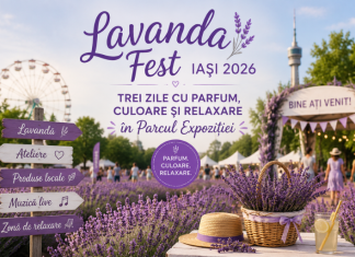 Lavanda Fest