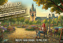 ce faci singur în Iași