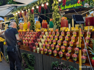 Festivalul Cireșelor Iași - stand cu salate de fructe proaspete