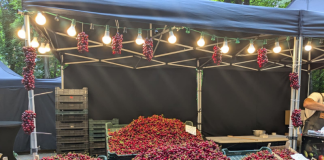 Festivalul Cireșelor Iași 2026 - standuri cu cireșe proaspete în Parcul Expoziției